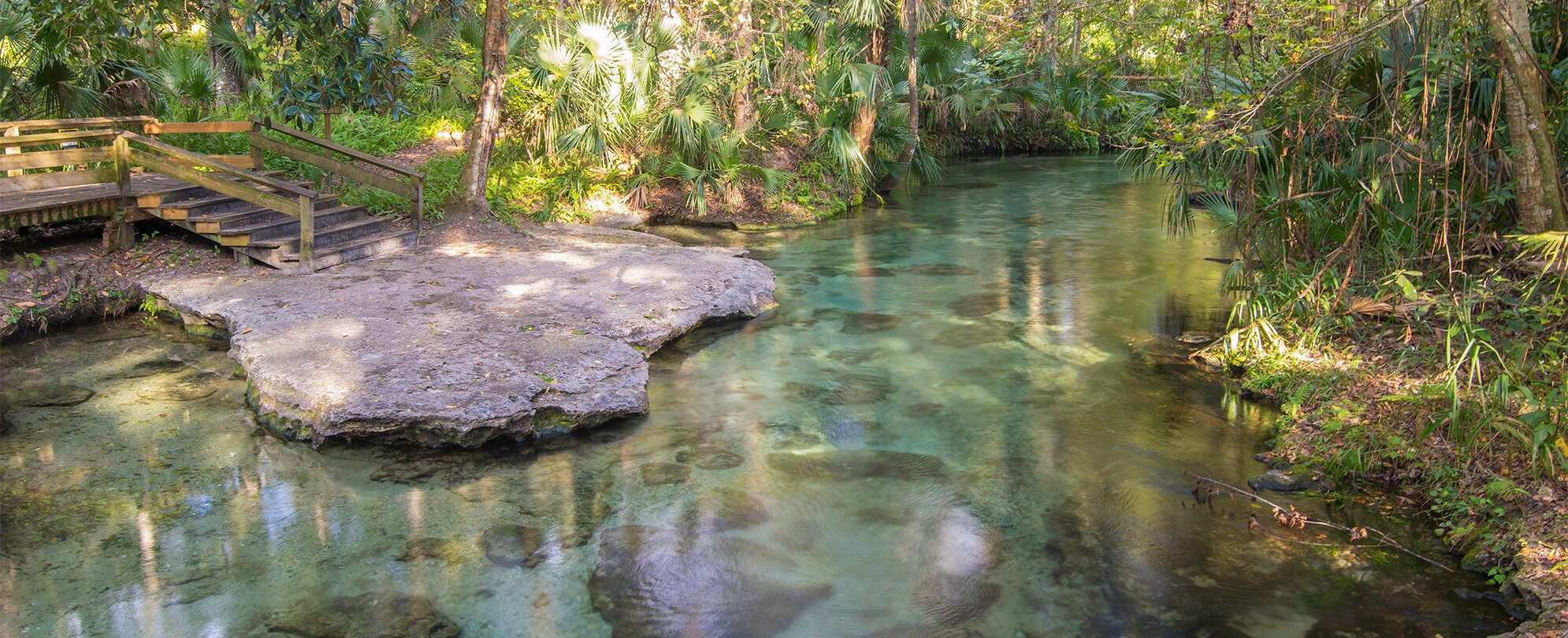 Orlando Destination Wekiva