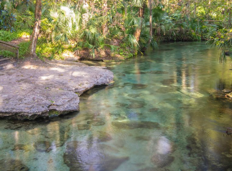 Orlando Destination Wekiva